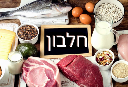 חלבון: אבן הבניין של השריר